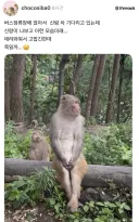 남편차 기다리는 부인 모습.jpg
