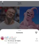 홀란드 또 다른 닮은꼴