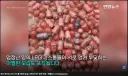 인도 폭우로 LPG 가스통 3천개 유실 "당국 비상"