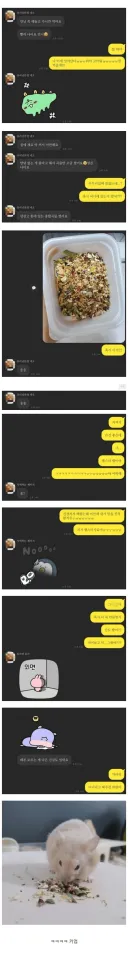 아픈 선배 죽 끓여준 후배