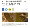 루리웹 유머게시판 하는 법