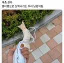 대충 살자~