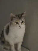 제논 유저로서 한마디 하겠습니다.
