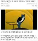 님들 어이없게 경찰 조사 받은적 있음??