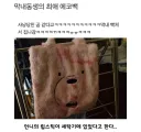 막내 동생의 최애 에코백