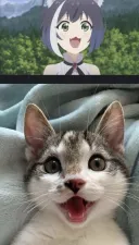 히히 잘자