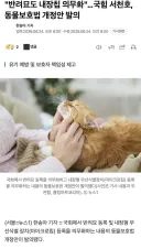 국힘, '반려묘도 내장칩 의무화' 개정안 발의. 그런데 민주당은?