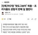단독]야구장 '핫도그보이' 허용..조리식품도 관람석 판매 길 열린다