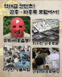 곤충,파충류 뷔페!!!