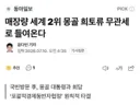 매장량 세계 2위 몽골 희토류 무관세로 들어온다