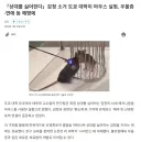 상대를 "싫어하는" 감정을 제거한 쥐 생물 실험이 성공