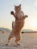 나는 설마 기억되지는 않겠지