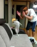 림버스)전투하면 바로 옆에서 일어나는 일들