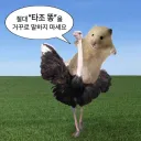 타조 똥 나만 거꾸로 안써짐??