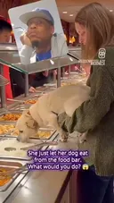뷔페 음식 개 먹이는 미친 X
