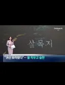 공포영화 촬영장소 살목지 근황.jpg