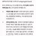 수컷이 없고 암컷만 존재하는 도마뱀