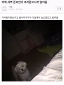 새벽에 폰 보면서 과자 뜯으니까 달려옴