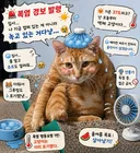 전국 폭염 '경계' 격상.. 다들 올여름 무더위 어떻게 버티고 계신가요?