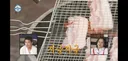 오늘자 나혼자산다 땅에 떨어진 고기 먹는다vs안 먹는다 논쟁.jpg