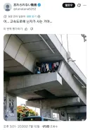 일본의 닌자 근황