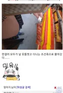음해당하는 디시인