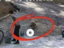 산책 나갔다 온 골댕이가 물어온 달콤한 선물.gif