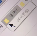 여우타기 글 추천 누르는 인간들 대가리 근황