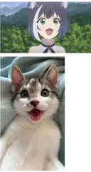 이게 담배 고양이 맞지?