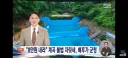 계곡 불법 자릿세' 근절하랬더니‥평상 깔아준 게 군청?