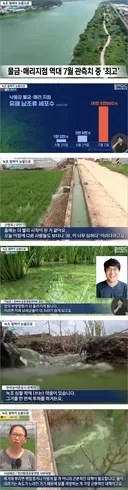 낙동강 근황.jpg
