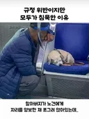 규정 위반이지만 모두가 침묵한 이유