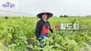 20대 베트남 여성과 결혼한 50대 한국 남성