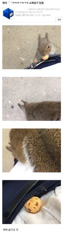 " 뭐야 ㅋㅋㅋㅋㅋㅋㅋㅋ청솔모한테 소매넣기 당함 ㅋㅋㅋㅋㅋ"