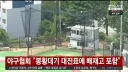 배제고 결말 나옴