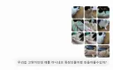 GPT! 우리집 고양이를 야니네코화 시켜줘