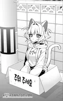 요즘 흥하고 있는 담배 고양이 순화 버전