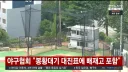 배제고 결말 나옴