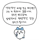 노스포 호프 극호니 가서 봐라