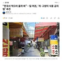 “한국서 먹으러 올까 봐”…일 여권, ‘개·고양이 식용 금지법’ 추진.news