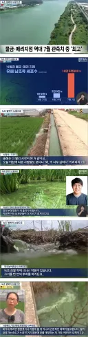 낙동강 근황