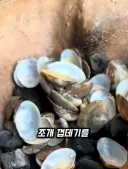 전통 비누만드는거보면 드는 생각