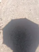 암막양산 개시