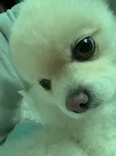 가족들 아무도 없으니까 이제서야 나한테 오네.jpg