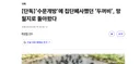 대구가 대구했던 사건 - 망월지 두꺼비 몰살 사건