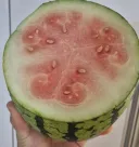 수박 뽑기 실패