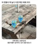 편돌이의 눈물.jpg
