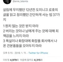 집을 간단하게 정리하는 데 도움이 되는 신조