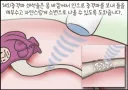 물을 자주 잘 마셔야하는 이유