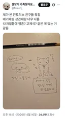 진도믹스 친구들 특징 애기때랑 성견때랑 너무 다름 12개월쯤에 영혼? 교체식? 같은 게 있는 거 같음